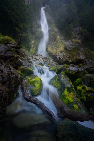 Eine Vertikale Aufnahme Des Schnell Fließenden Blubbernden Nutria Wasserfalls Felsen — Stockfoto