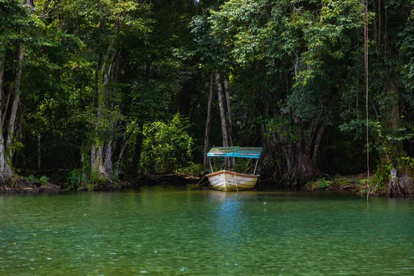 Breathtaking View Abandoned Fishing Boat Shore Surrounded Lush Green Trees — Stock Photo, Image