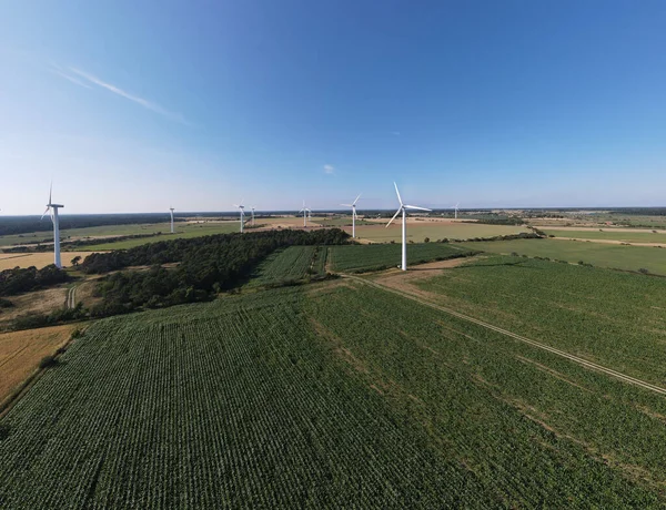 Wind Turbines Green Field Blue Sky — Stock Photo, Image