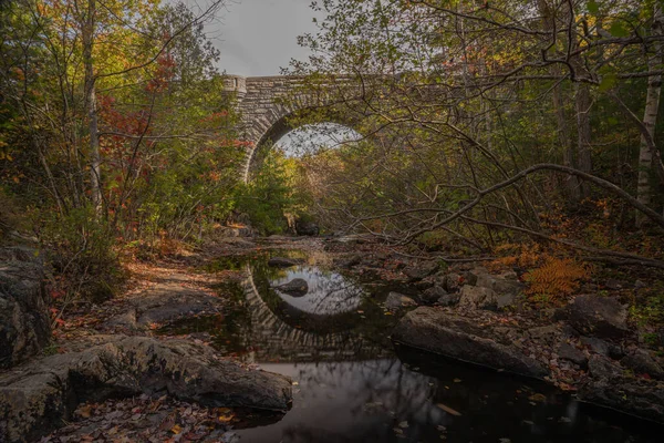 Krásný Záběr Skal Malém Potoce Národním Parku Acadia Maine Stromy — Stock fotografie