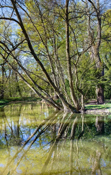 Landscape Vacratot Botanical Garden Hungary Spring — Stock Photo, Image
