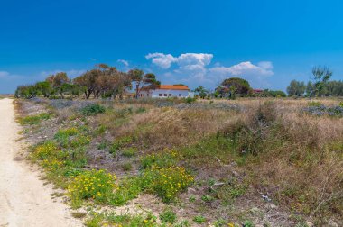 A beautiful view of a field at the Cyprus Paphos Archaeological Park on a sunny day