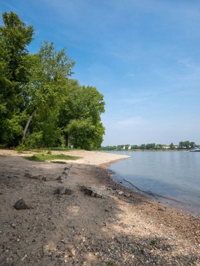 Ormanın yakınındaki güzel bir denizin dikey görüntüsü.