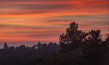 Gün batımında güzel bir ormanın havadan görüntüsü.