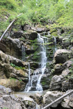 Ormandaki şelalenin güzel manzarası