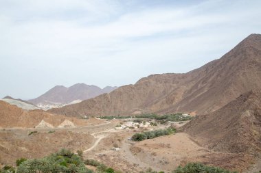 Dağları ve vadileri olan çöl yolu buğdayla kuruyor.