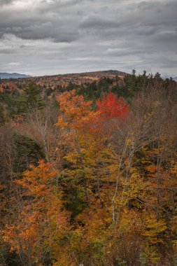 ABD 'de sonbaharda New Hampshire Beyaz Dağları manzarası