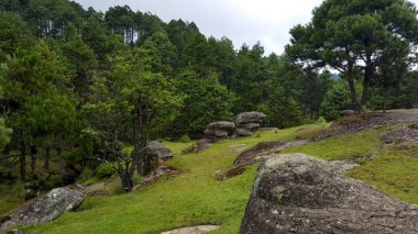 Kocaman kayaları ve yeşil ağaçları olan güzel bir park.