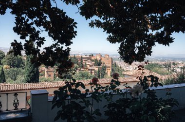 a shot of Alhambra Granada city against roses