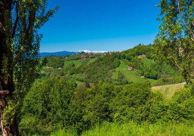 Yeşilliklerle çevrili kırsal bir alandaki dağınık binaların hava görüntüsü.