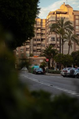 Sokakta palmiye ağaçları ve arabaları olan bir kasabanın dikey görüntüsü.