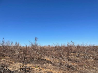 Burke County, Ga USA - 02 10 22: Country dirt roads in South Georgia rough track