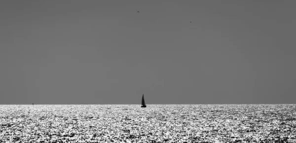Eine Monochrome Aufnahme Eines Muschelmeeres Mit Einer Silhouette Einsamer Segel — Stockfoto