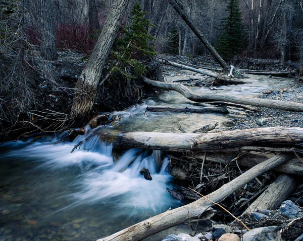 Beautiful View Flowing River Logs Fallen — Foto de Stock