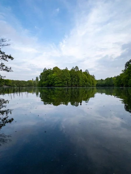 森の近くの美しい池の垂直ショット — ストック写真