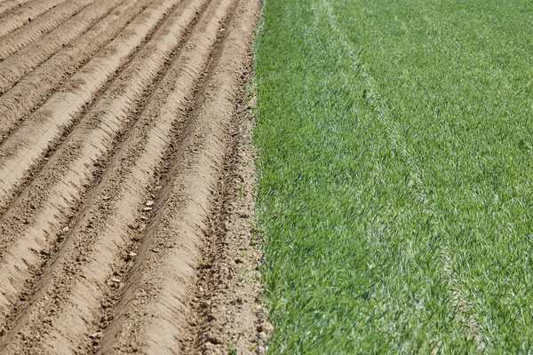 Ploughed Field Geilenkirchen Germany Farm Scenery — Stock Photo, Image