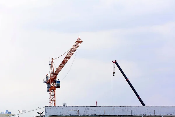 Tall Crane Industrial Construction Site Light Sky — Foto de Stock