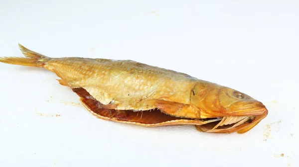 大鱼一种大型熏鱼 在白色背景上隔离 — 图库照片