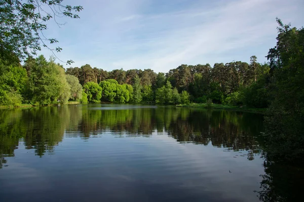 Beau Paysage Estival Avec Lac Entouré Végétation Verte — Photo