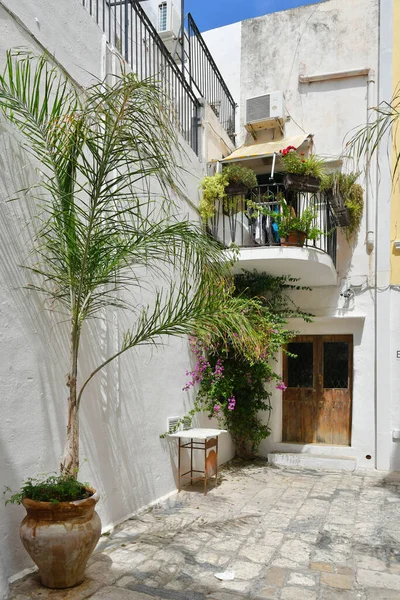 Porta Uma Casa Gallipoli Uma Antiga Aldeia Província Lecce Itália — Fotografia de Stock