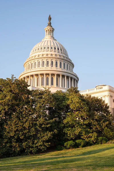 Vertical Shot Capitol Building Bush Washington Maryland Usa — Stock Photo, Image