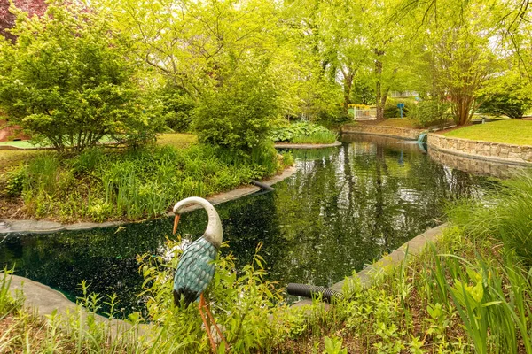 Beautiful Shot Great Blue Heron Standing Next River Green Trees — Foto Stock