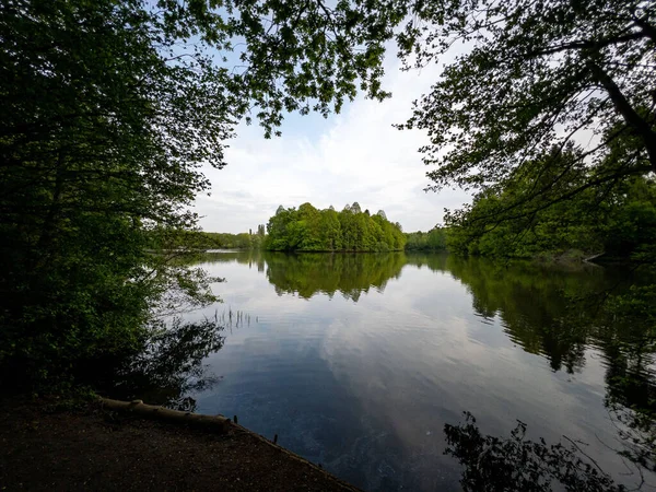 Uma Vista Hipnotizante Água Lagoa Transparente Com Reflexos Árvores Verdes — Fotografia de Stock