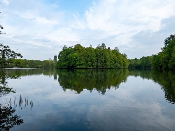 Yeşil ağaçların ve mavi gökyüzünün yansımalarıyla şeffaf gölet suyunun büyüleyici görüntüsü.