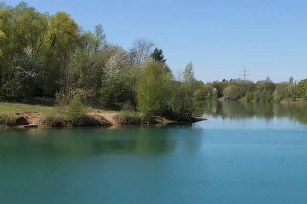 Uma Vista Panorâmica Lago Rodeado Por Árvores Verdes Dia Ensolarado — Fotografia de Stock