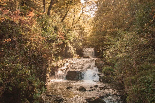 Closeup Shot Beautiful Waterfall Flowing Forest England — Stock Fotó