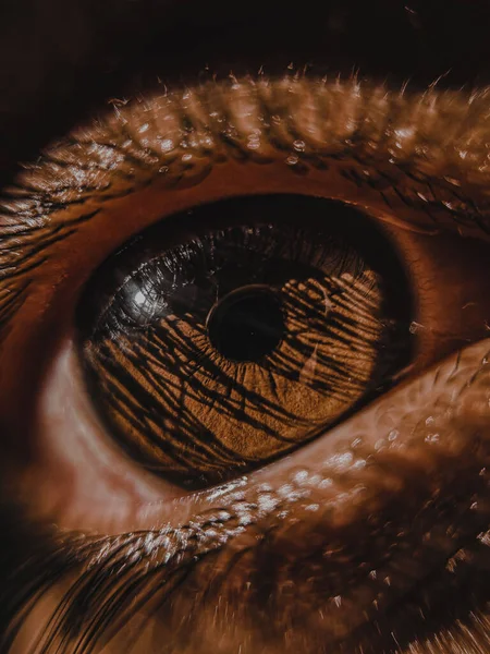 Kahverengi Bir Insan Gözünün Detaylarını Gösteren Dikey Bir Makro Çekim — Stok fotoğraf