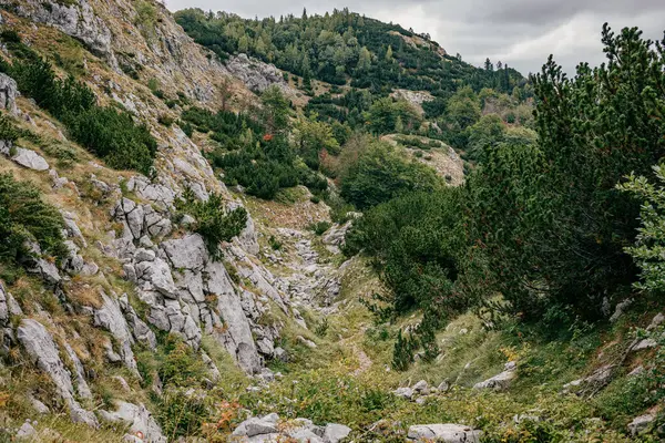 Aerial Shot Vibrant Lush Greenery Mountains Montenegro Gloomy Sky — Foto Stock