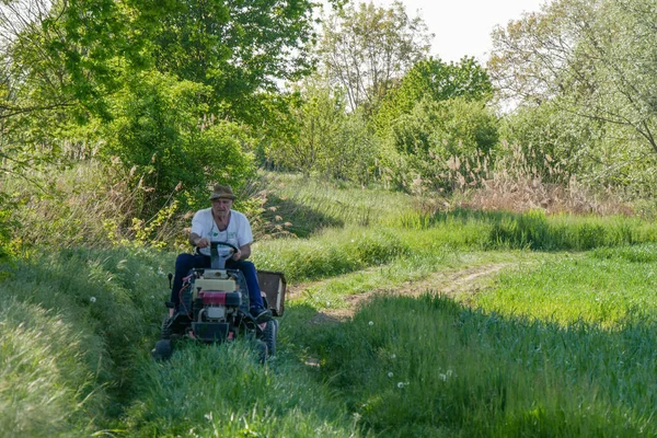 Senior Active Italian Farmer Transporting Seeds His Small Tractor Fields — Stock Photo, Image