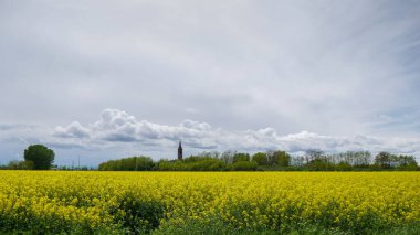 Emilia Romagna, İtalya 'da çiçek açan bir çiftlik.