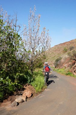 A male cyclist in a red jacket riding along the countryside in La Palma, Canary Islands