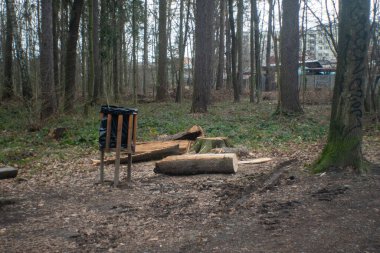 Bazıları ormanda ağaç gövdeleri kesiyor..