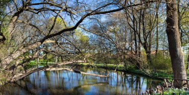 Vacratot Botanik Bahçesinin manzarası - Macaristan, bahar