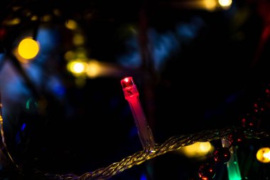 A soft focus of a red bulb of a Christmas string light on a tree