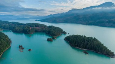 Yoğun ağaçlarla çevrili sakin bir göl manzarası.