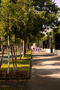 Geçidin yanındaki ağaçların dikey görüntüsü.