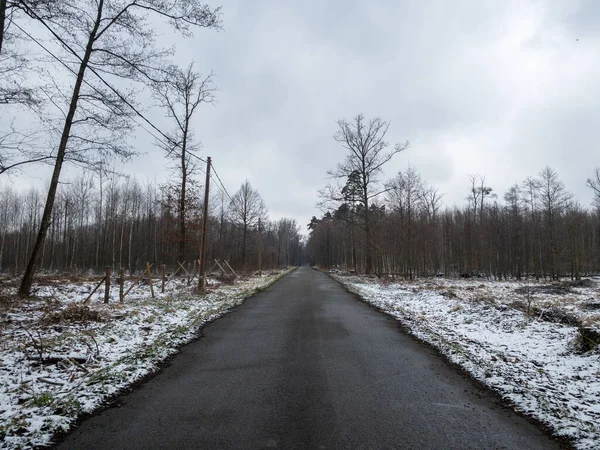 Eine Leere Asphaltstraße Unter Bewölktem Himmel Winter — Stockfoto