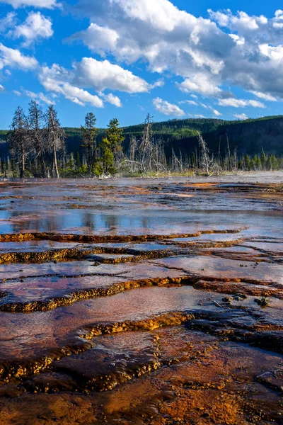 Farverige Gejsere Yellowstone National Park Wyoming Usa - Stock-foto