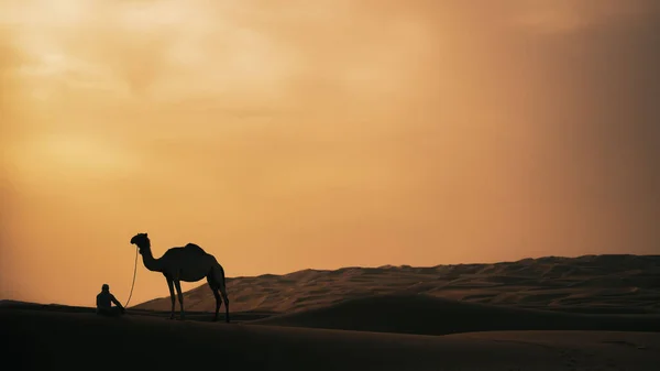 阿拉伯联合酋长国Liwa沙漠最后的光照时间 — 图库照片