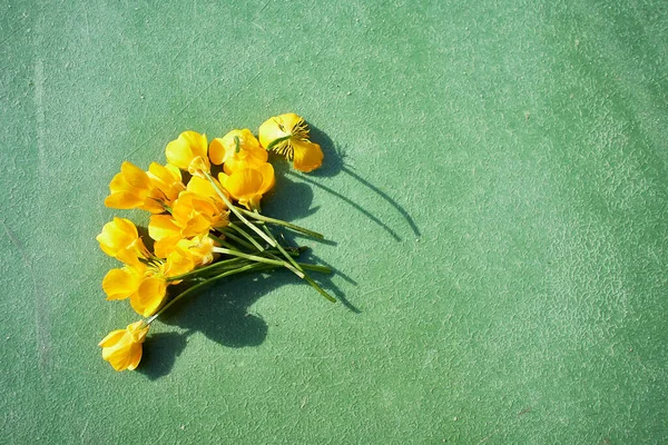 Vue Dessus Des Fleurs Pavot Californie Sur Fond Vert — Photo