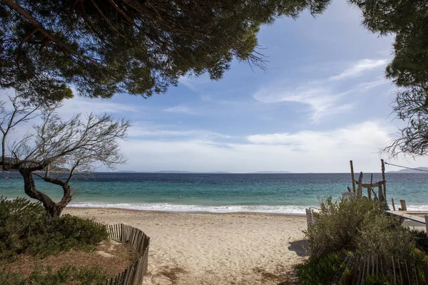 Beautiful View Trees Beach Cavaliere France — Stockfoto