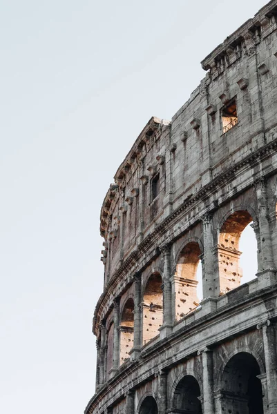 Vertical Shot Colosseum — Foto Stock