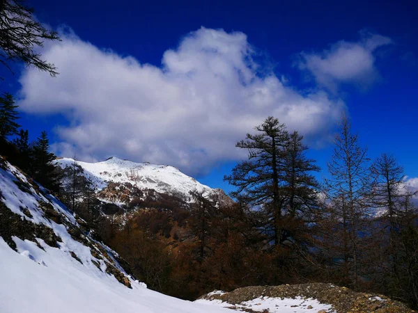Όμορφη Φωτογραφία Από Χιονισμένα Βουνά Των Γαλλικών Άλπεων Parc Des — Φωτογραφία Αρχείου