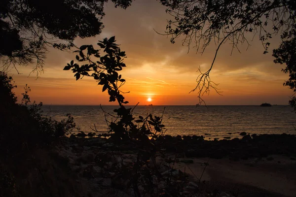 Uma Vista Panorâmica Pôr Sol Pela Praia Emoldurada Com Silhueta — Fotografia de Stock