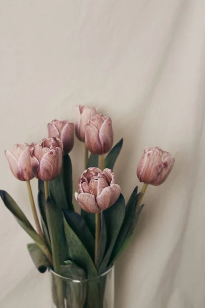 淡いベージュ地に孤立したガラス花瓶の淡いピンクのチューリップの垂直閉鎖 — ストック写真