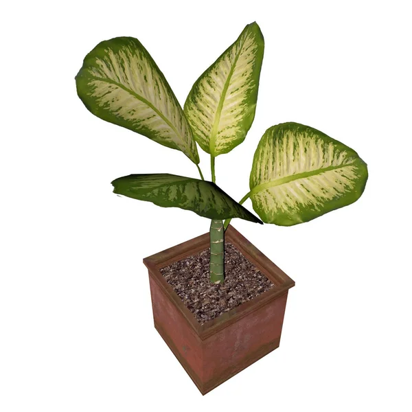 Rendering Green Plant Pot White Background — Fotografia de Stock